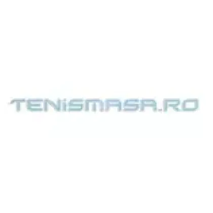 Tenismasa